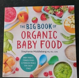 The Big Book of Organic Baby Food